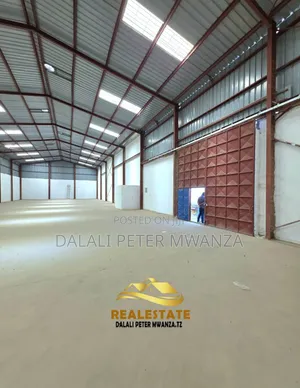 Dalali Peter Mwanzatz