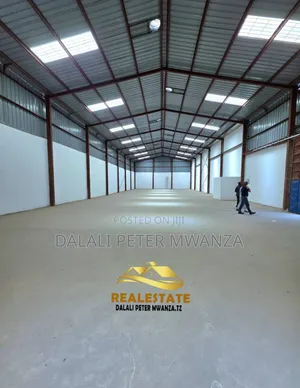 Dalali Peter Mwanzatz