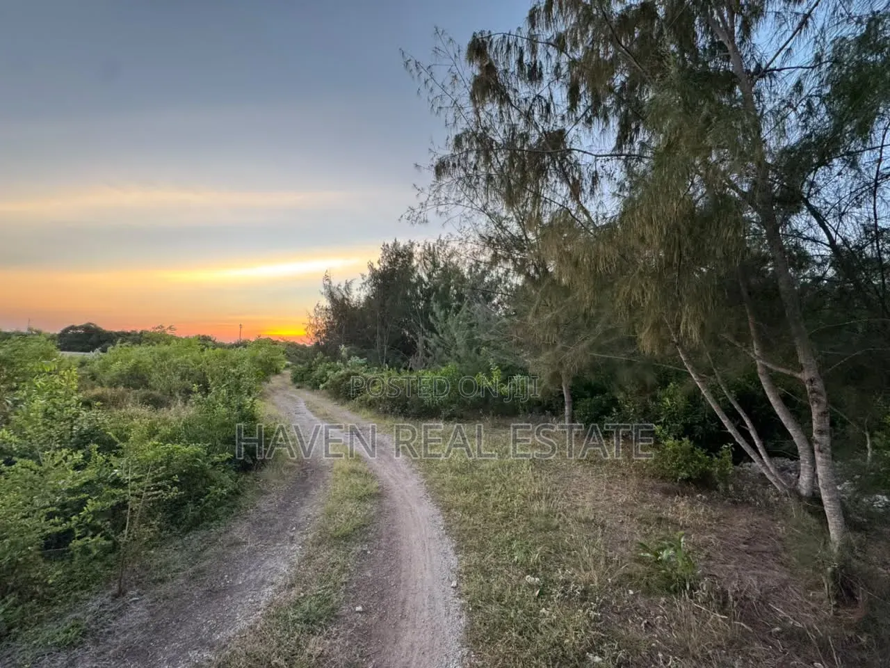 Premium Development Plot for Sale at Jambiani Zanzibar