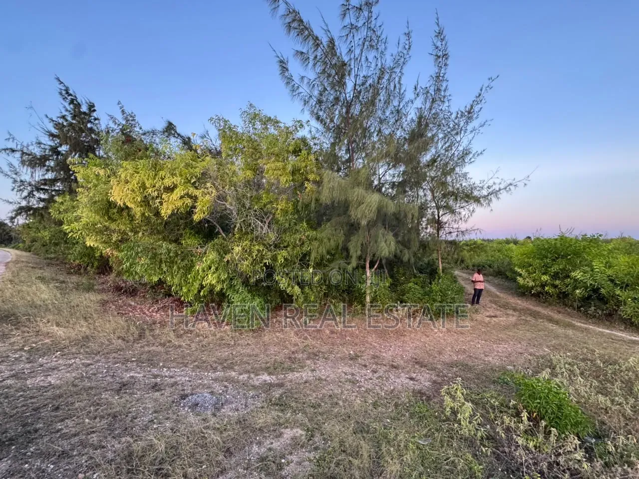 Premium Development Plot for Sale at Jambiani Zanzibar