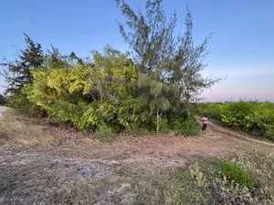 Premium Development Plot for Sale at Jambiani Zanzibar