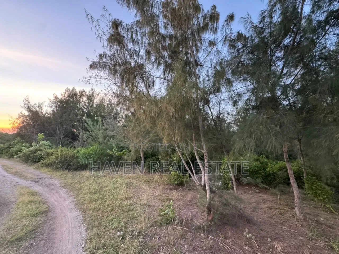 Premium Development Plot for Sale at Jambiani Zanzibar