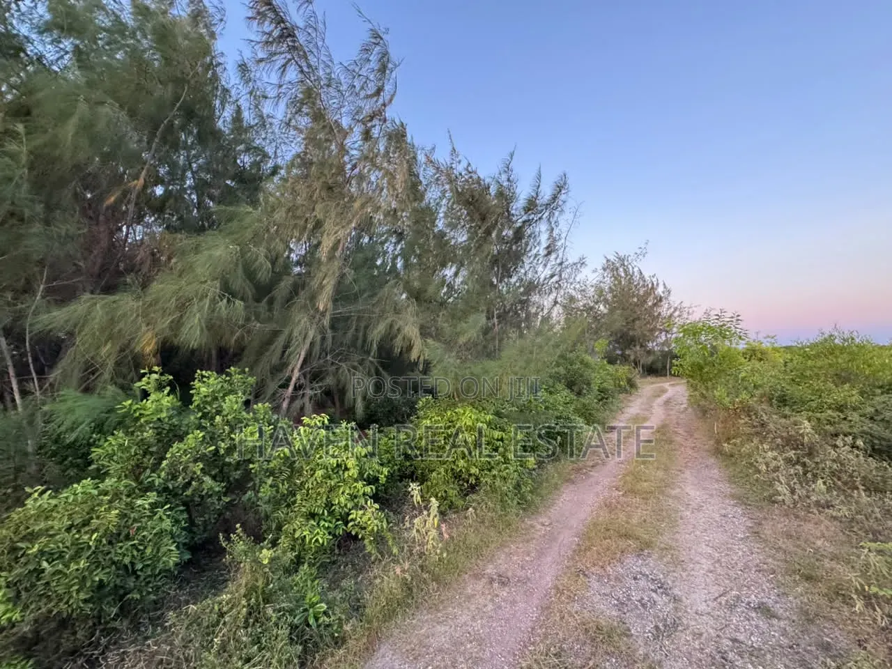 Premium Development Plot for Sale at Jambiani Zanzibar