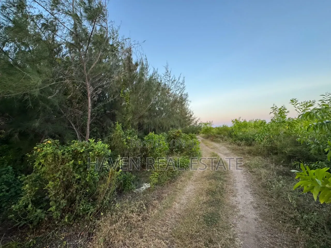 Premium Development Plot for Sale at Jambiani Zanzibar