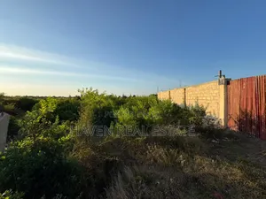 Prime Investment Opportunity in Makunduchi Zanzibar