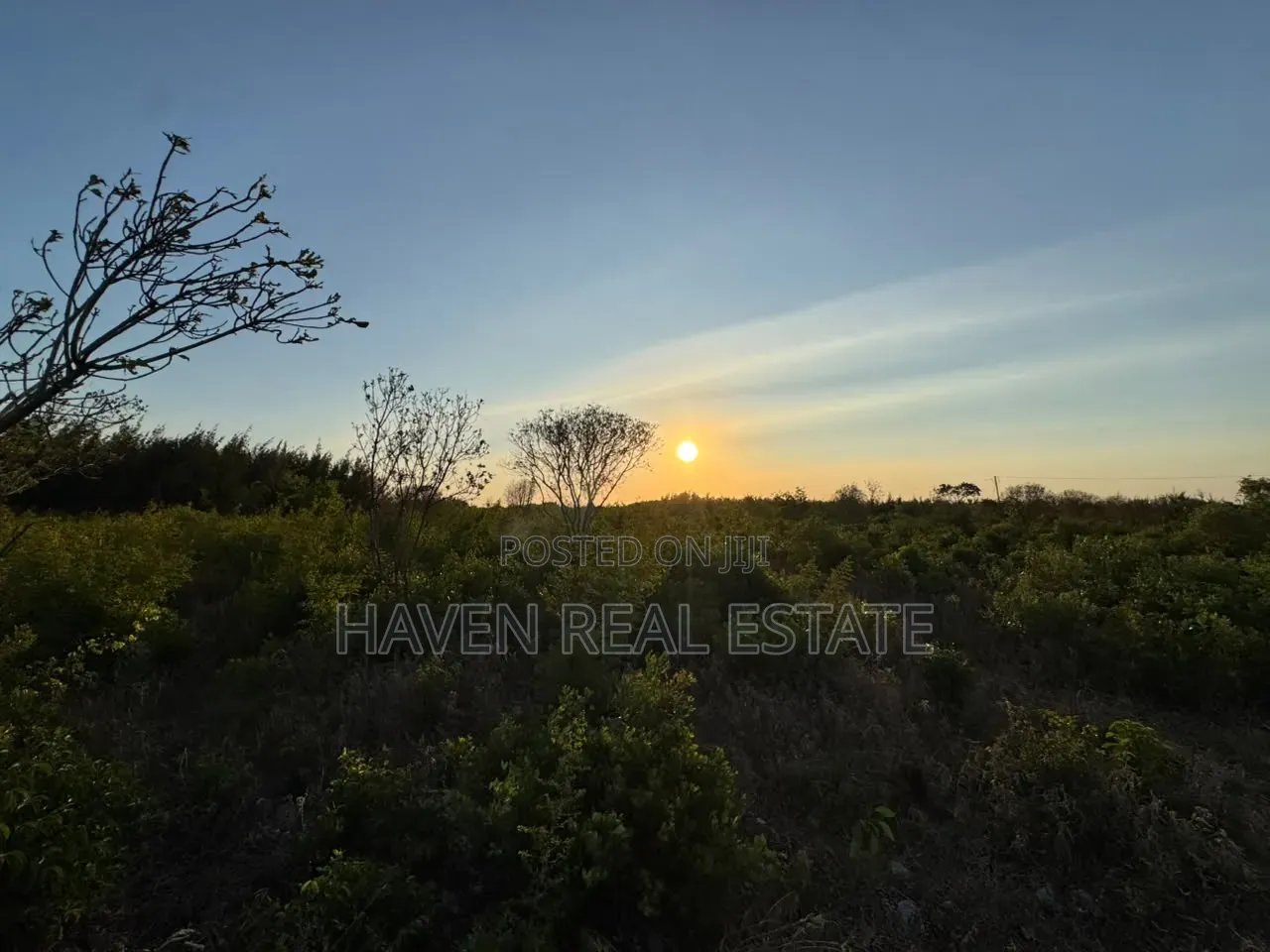 Prime Investment Opportunity in Makunduchi Zanzibar