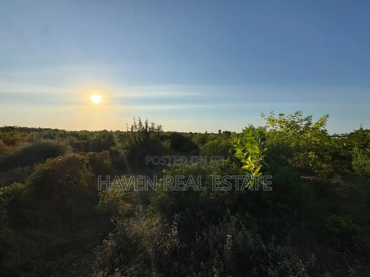 Prime Investment Opportunity in Makunduchi Zanzibar