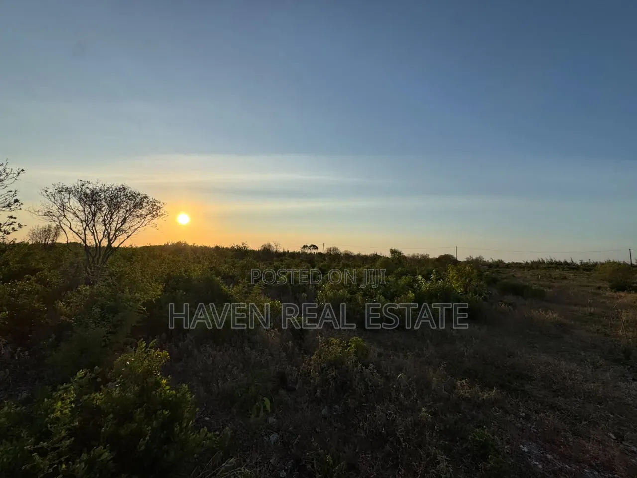 Prime Investment Opportunity in Makunduchi Zanzibar