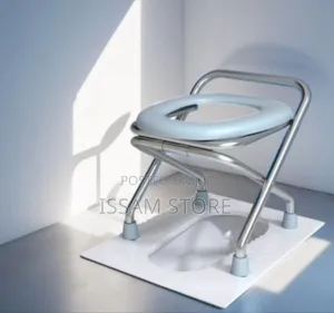 Foldable Stainless Steel Potty Seat/Chair ​