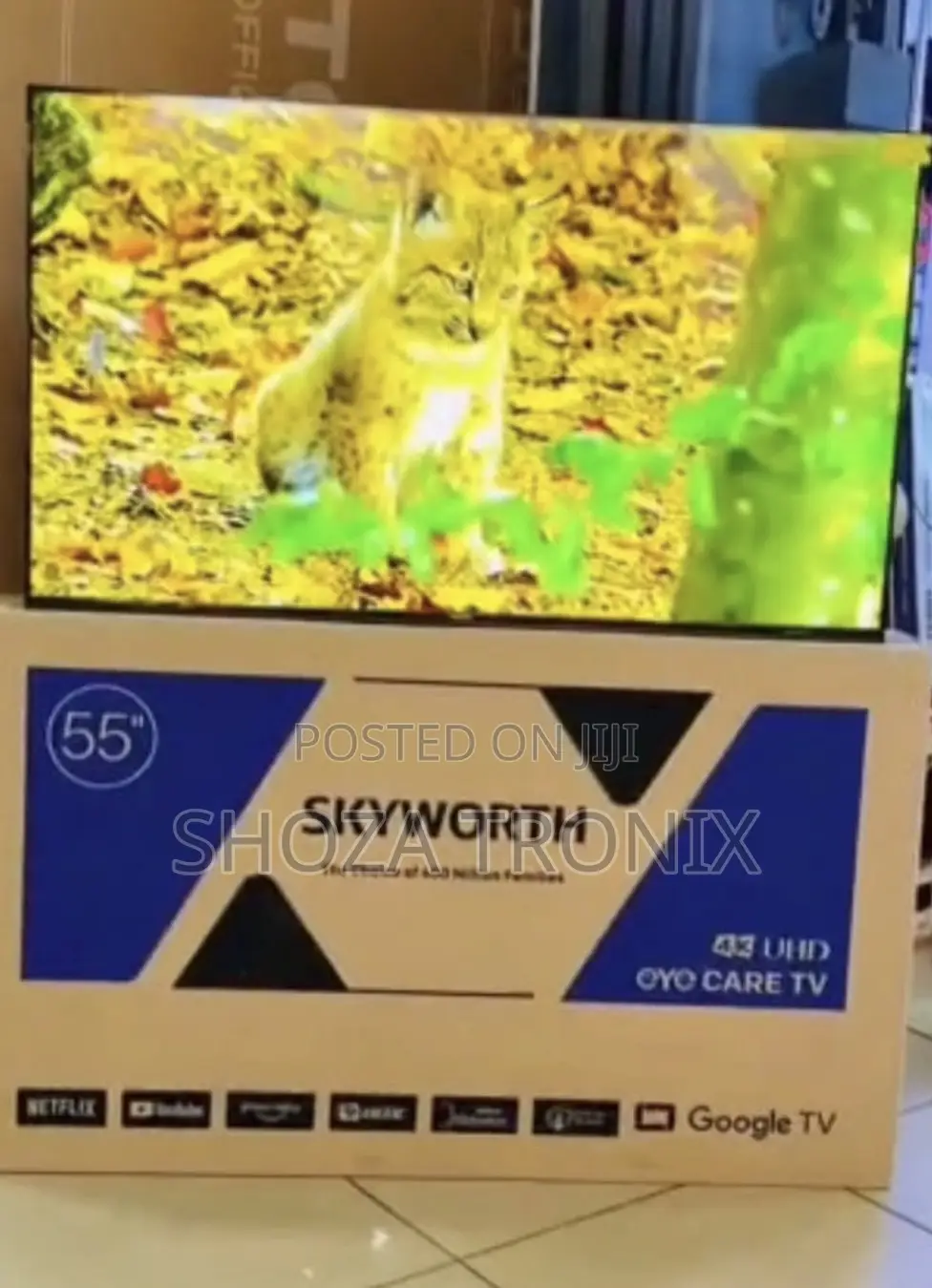 Skywouth Inch 55 Smart