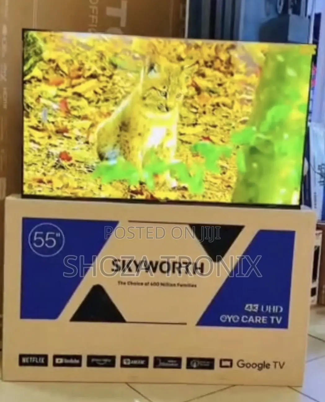 Skywouth Inch 55 Smart