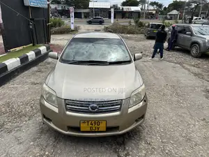 Toyota Axio 2007 Gold