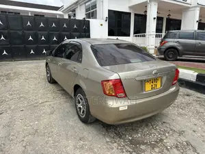 Toyota Axio 2007 Gold