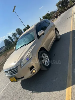 Toyota Vanguard 2007 Brown