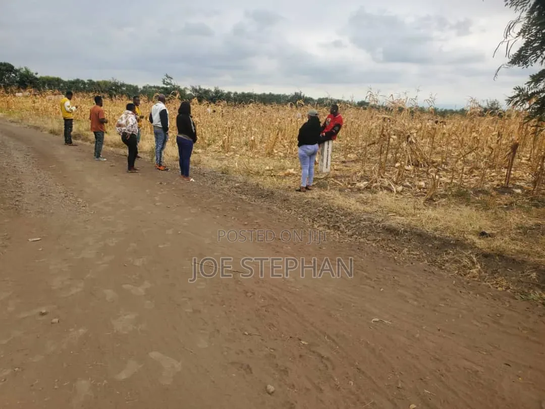 Tunauza Viwanja Kilimanjaro, Anza Na Nusu Ya Bei Nyingine Mdogo Mdogo