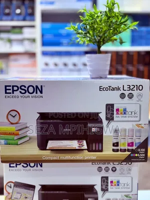 *Printer Epson Ecotank L3210