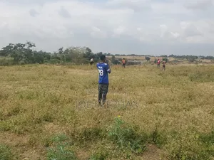Wauzaji Wa Viwanja Kilimanjaro Na Arusha.