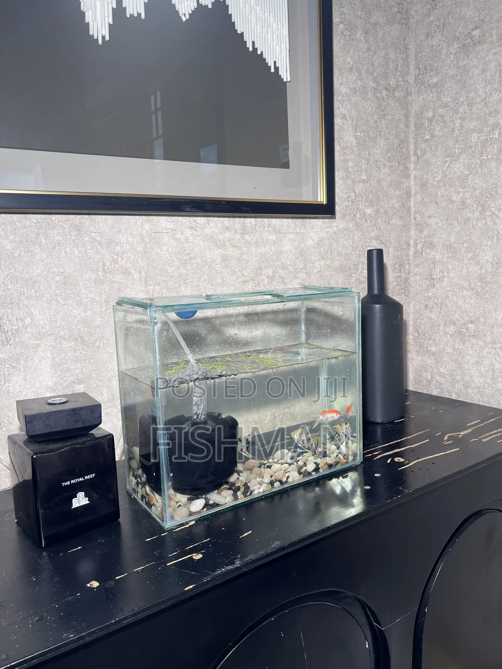 Fish Decoration