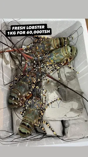 Tunauza Robosta Dead Na Live Kuanzia Gram 300,400,500>1000