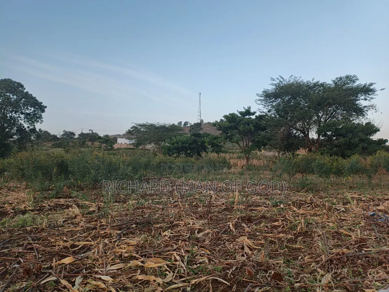 New Plots/Viwanja Vinauzwa