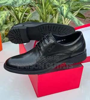 4 Brands 2 Colours Men's Leather Shoes Original