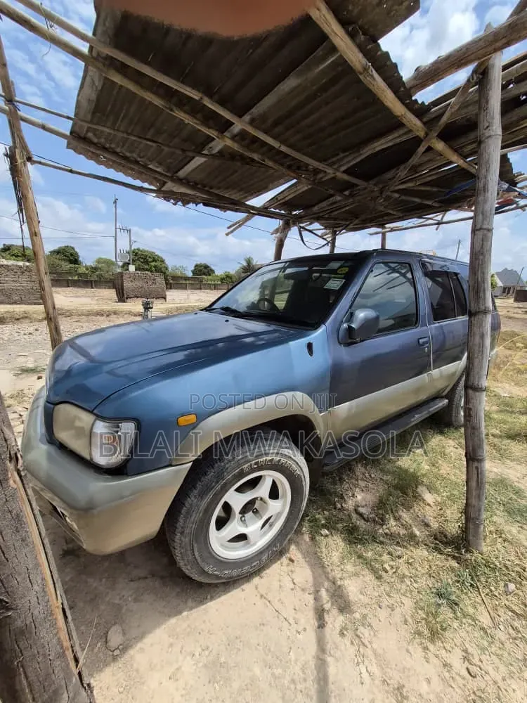 Nissan Terrano 2020 Blue