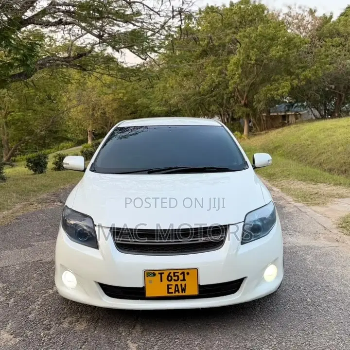 Toyota Corolla Fielder 2010 White
