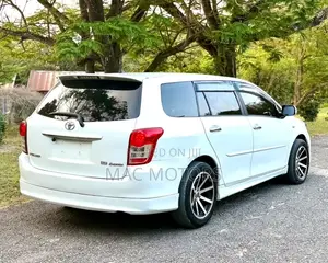 Toyota Corolla Fielder 2010 White