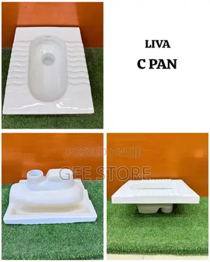 Liva C Pan