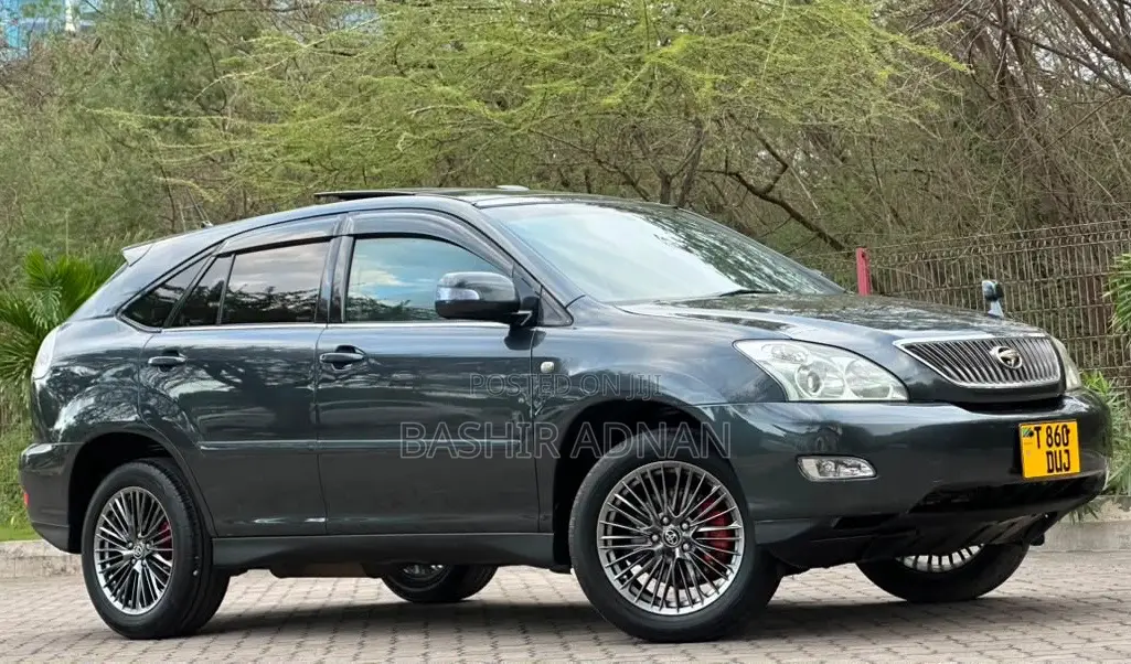 Toyota Harrier 2.4 2006 Gray