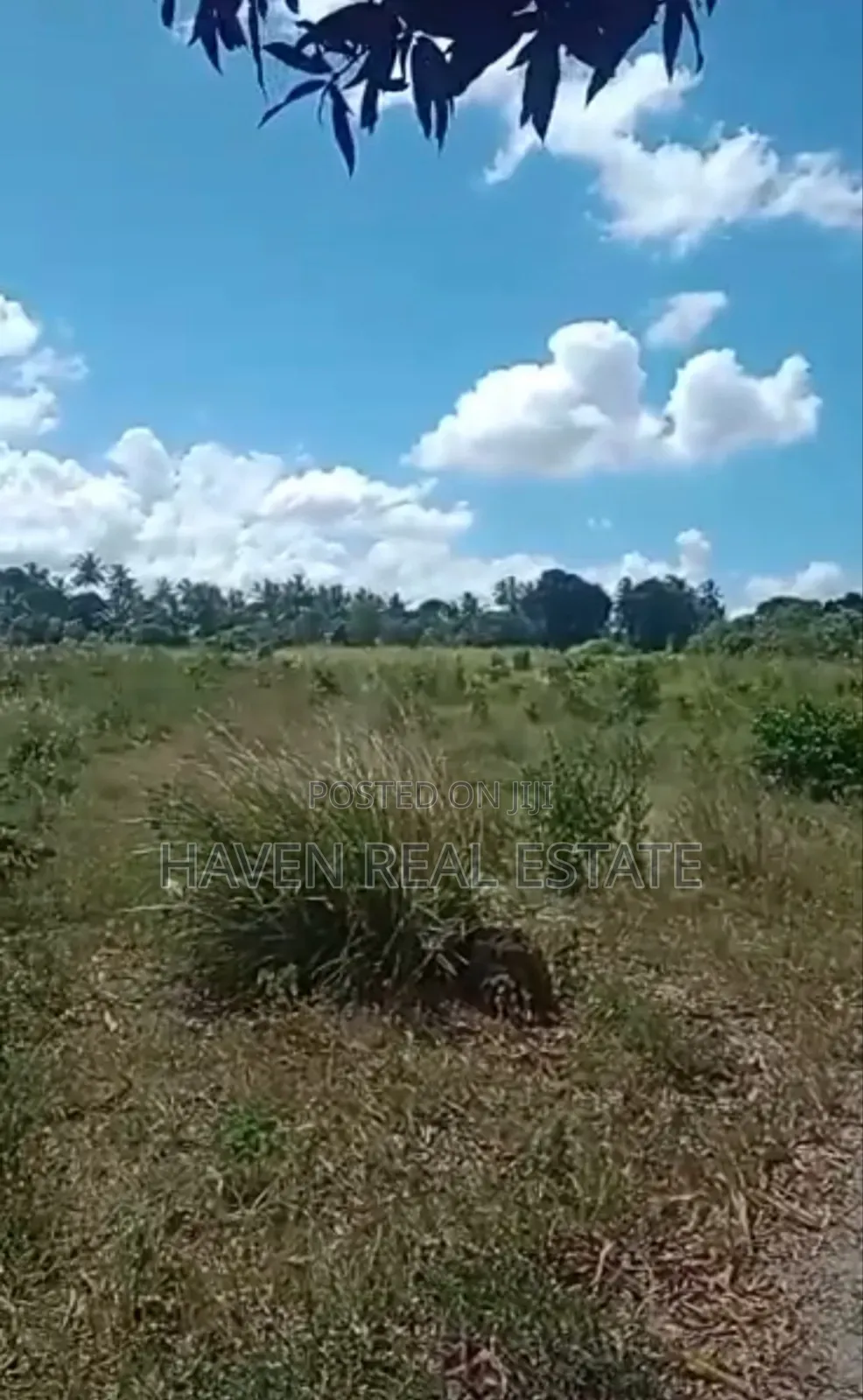 10 Acres Zinauzwa Mkuranga