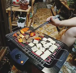 Electric Grill