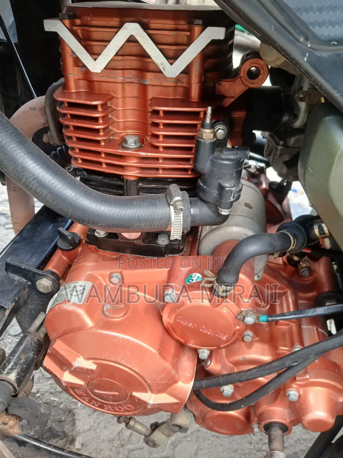 New Bajaj 2026 Green