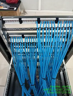 Data Voice Networking