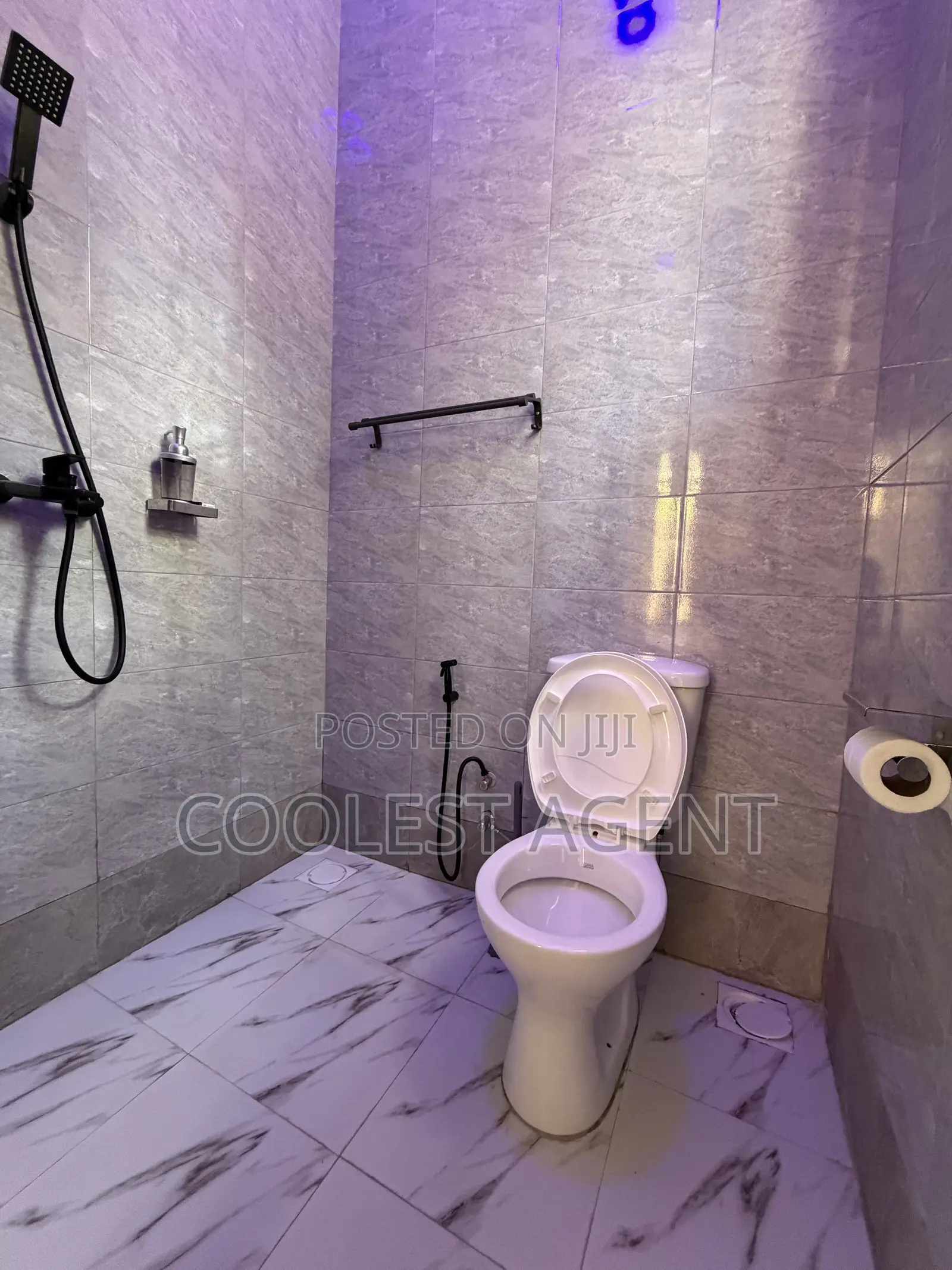 Furnished 1bdrm Apartment in Coolest Estate, Oyster Bay for rent