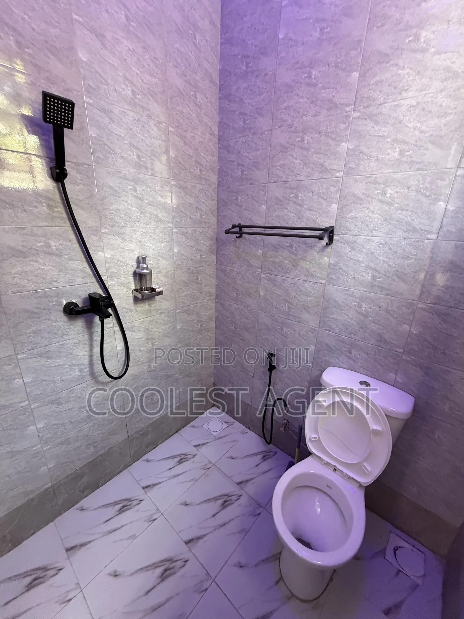 Furnished 1bdrm Apartment in Coolest Estate, Oyster Bay for rent