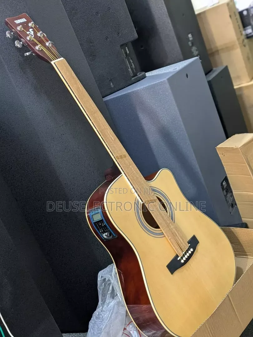 Electric Guitar Acoustic Ibanez