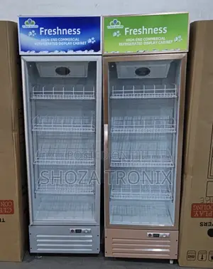 Showcase Single Door Liter 300 