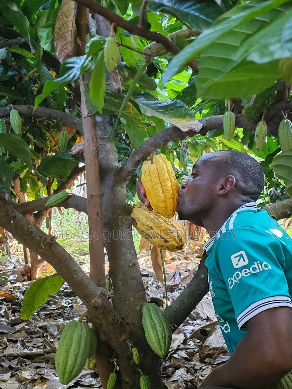 Farm for Sale at Morogoro Mlimbini