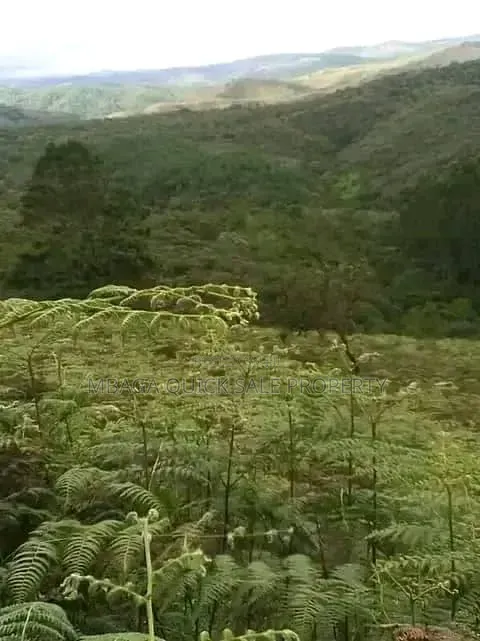 Farm for Sale at Morogoro Mlimbini