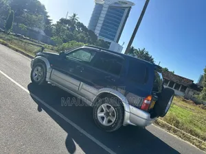 Suzuki Escudo 2000 Blue