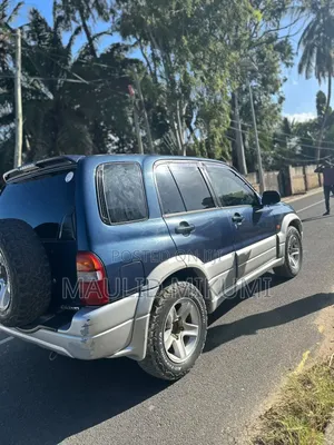 Suzuki Escudo 2000 Blue