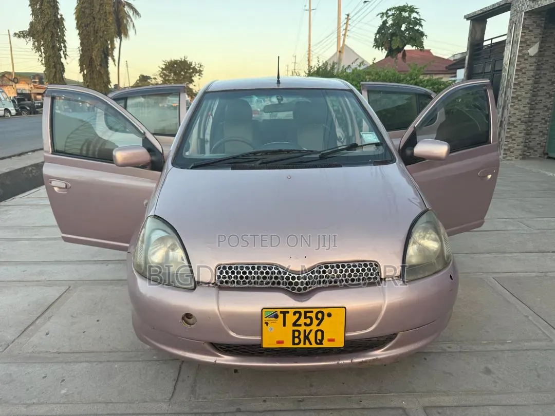 Toyota Vitz 2004 Pink