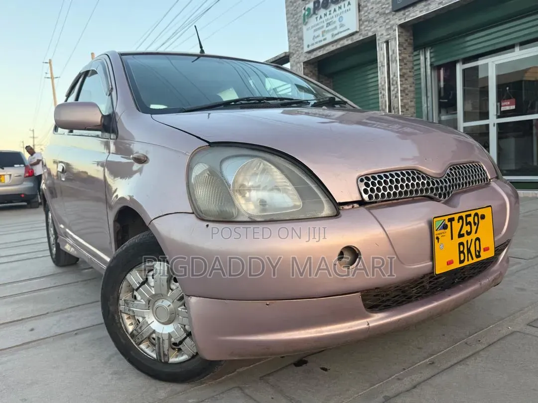 Toyota Vitz 2004 Pink