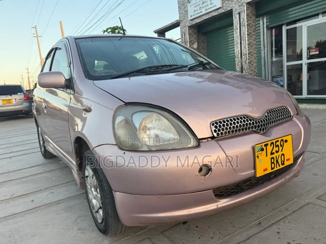 Toyota Vitz 2004 Pink