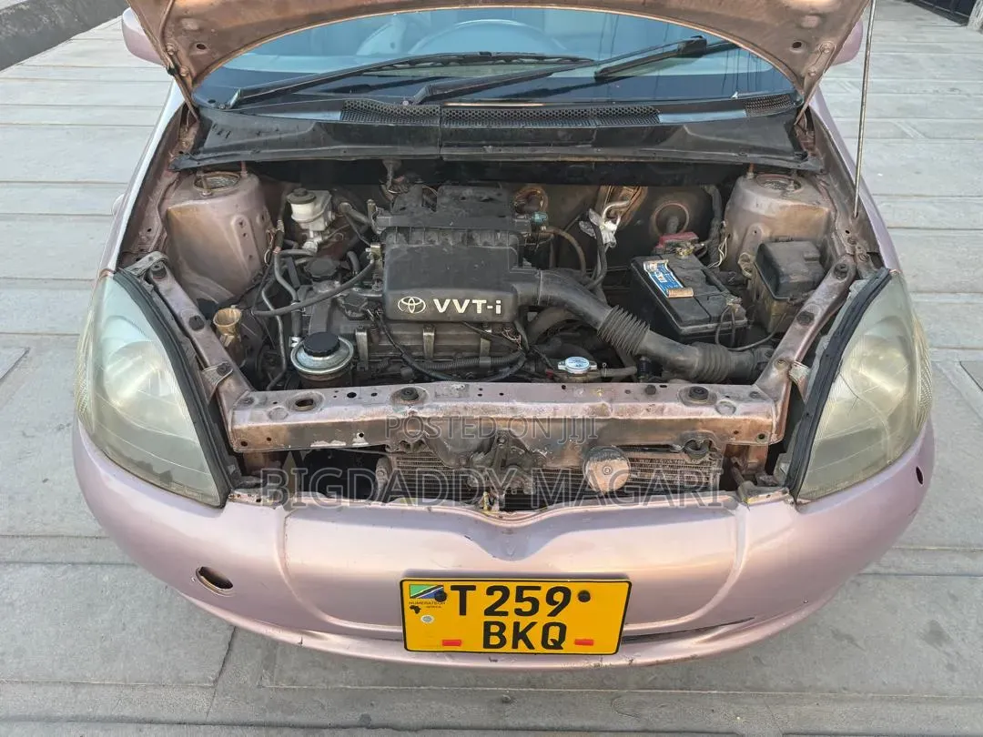 Toyota Vitz 2004 Pink