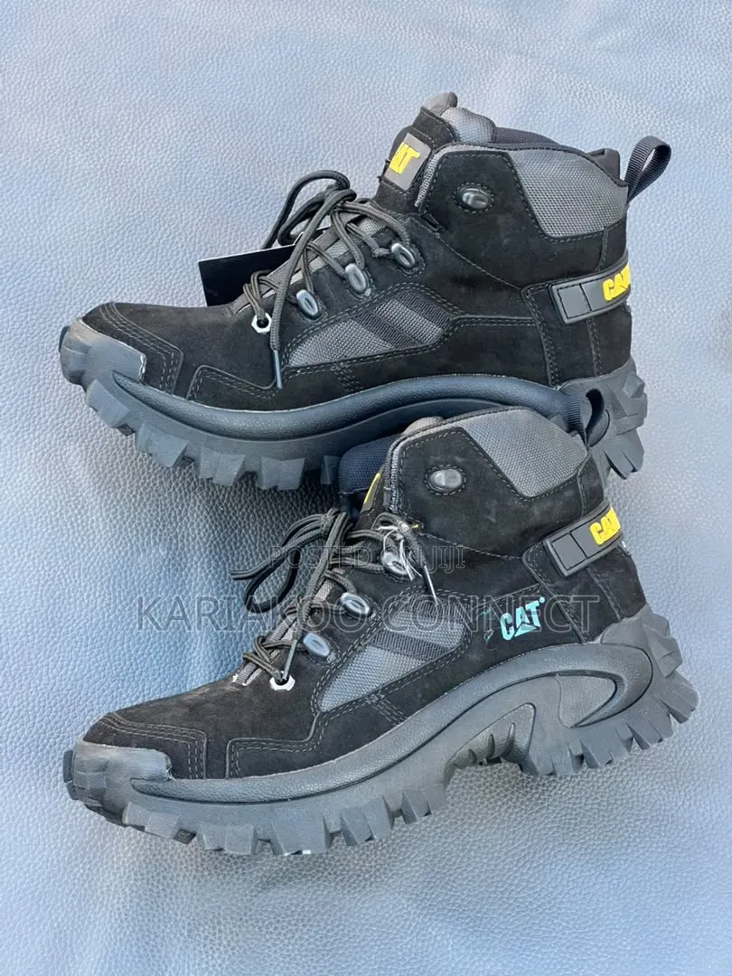 Bigboss Mixed Colors Cat Boots