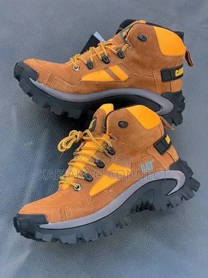 Bigboss Mixed Colors Cat Boots