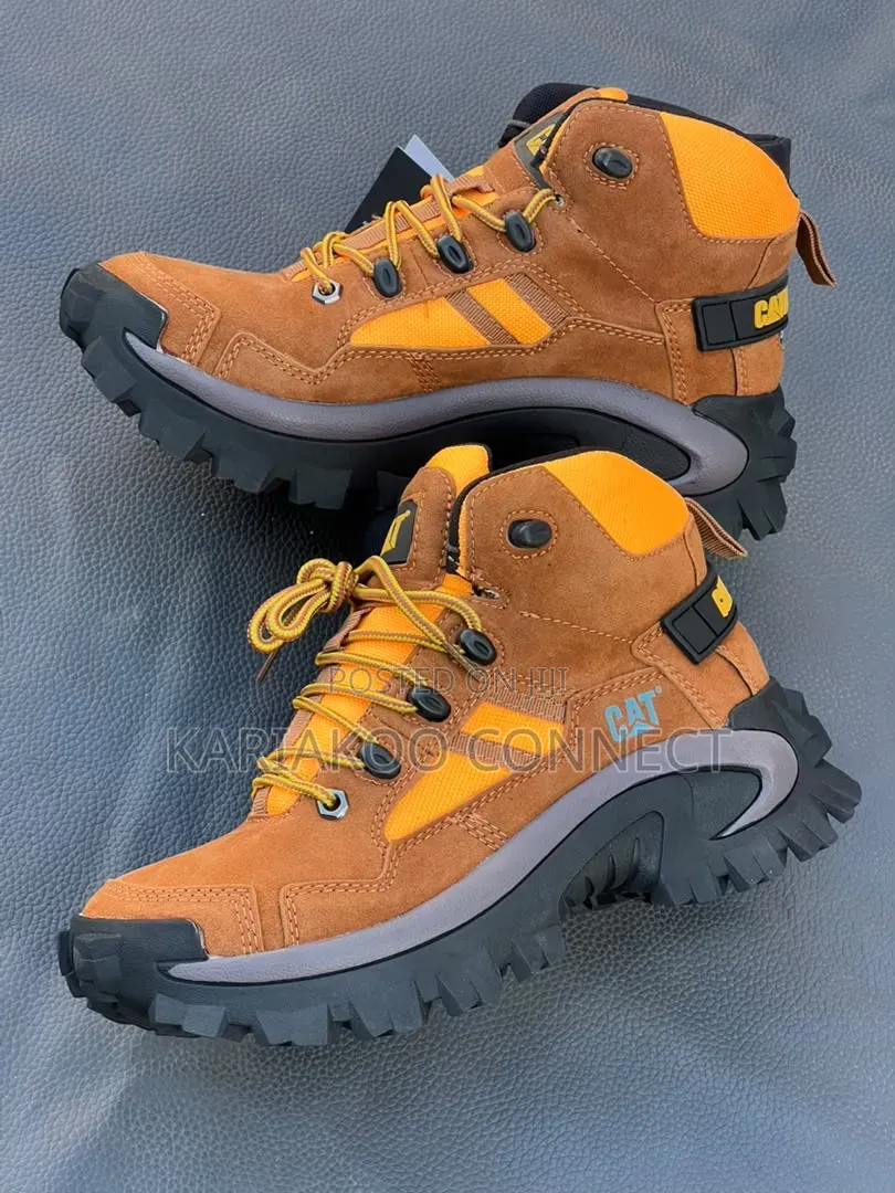 Bigboss Mixed Colors Cat Boots