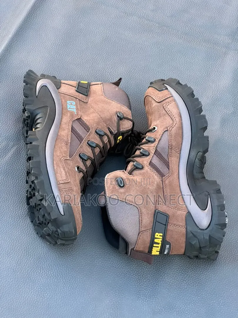 Bigboss Mixed Colors Cat Boots
